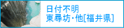 ���䌧�A���q�V